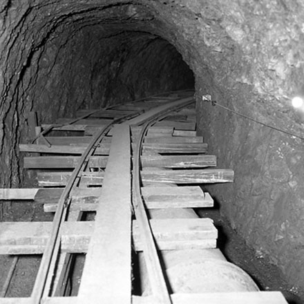 d. Tunnel, Karori Reservoir