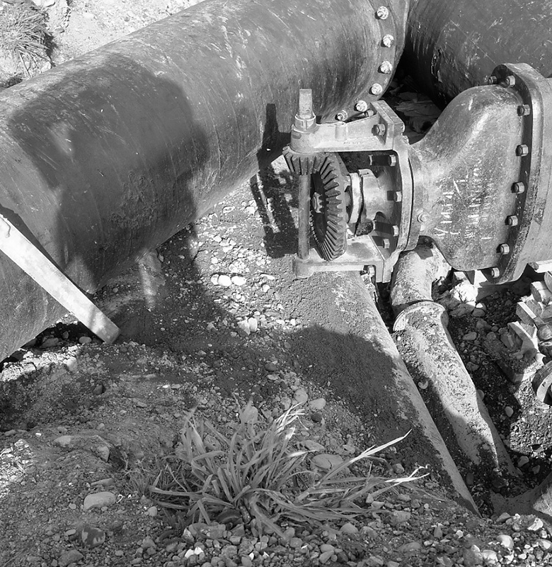 b. Waterworks, Pipe Bridge, Petone