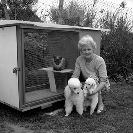 e. Mrs Lynch, 10 Berkshire Avenue