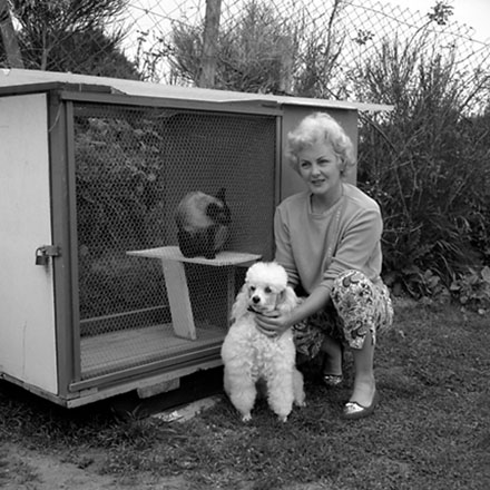 f. Mrs Lynch, 10 Berkshire Avenue with a dog and cat