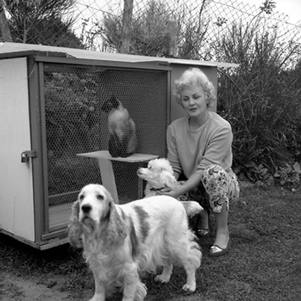 i. Mrs Lynch, 10 Berkshire Avenue