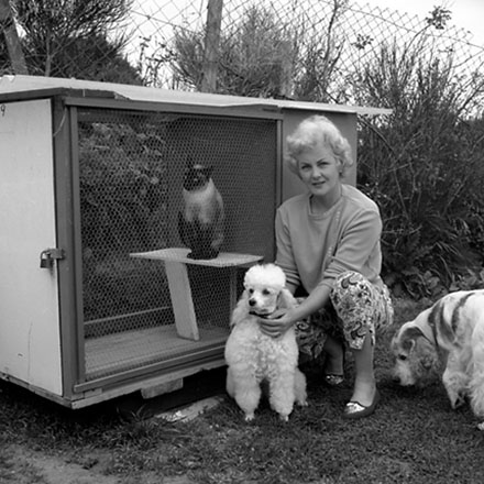 j. Mrs Lynch, 10 Berkshire Avenue