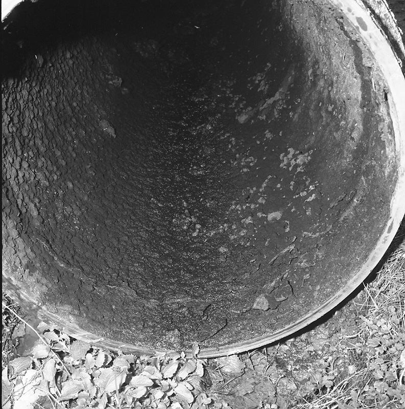 d. Waterworks, Wainui