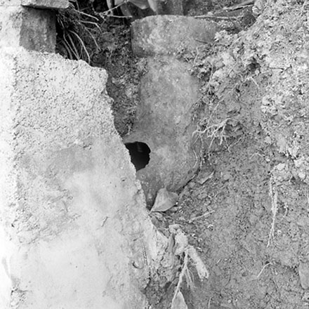 b. 44 Barnard Street, stormwater