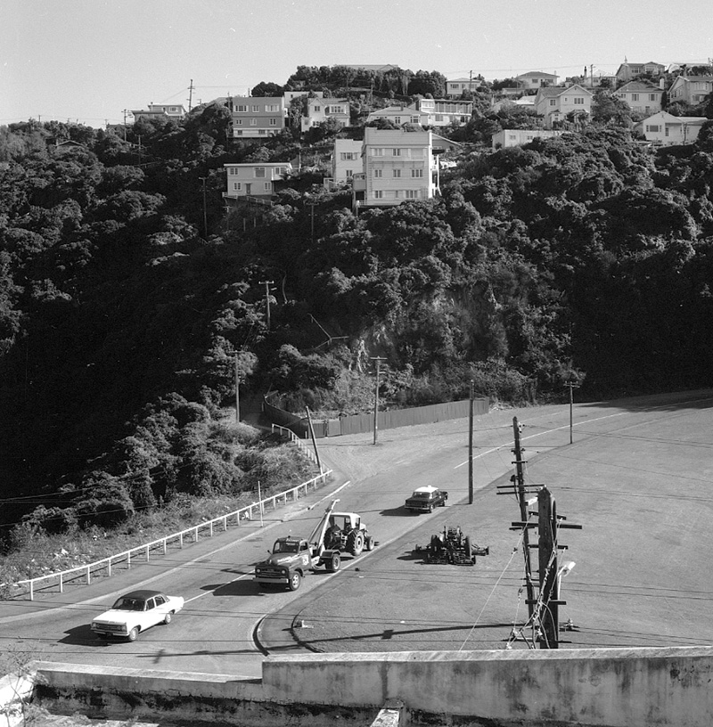 a. Dog dosing site, Birdwood St