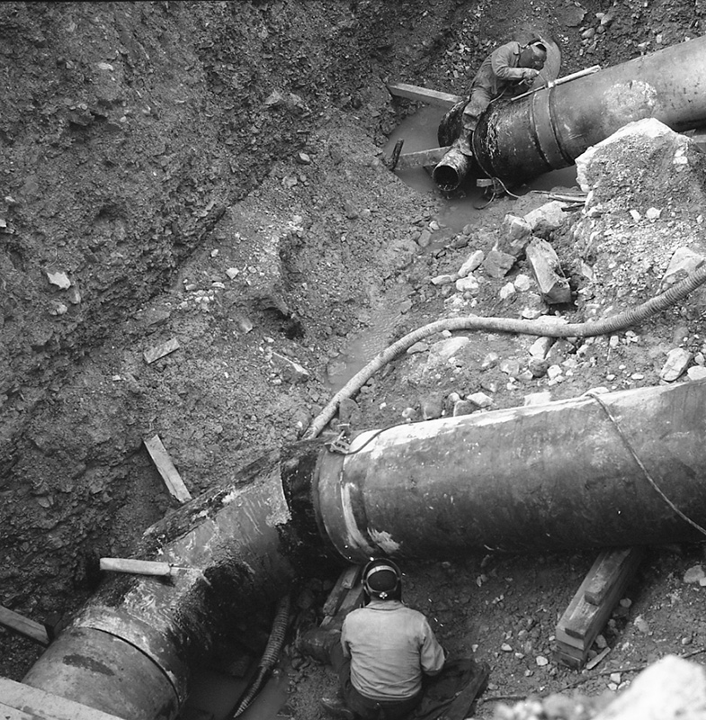 q. Waterworks, Wainui