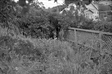 a. Streetscape, 23 Duncan Terrace, Kilbirnie