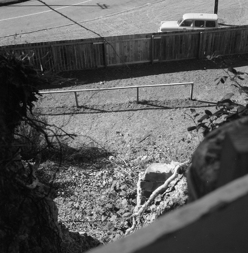 b. Dog dosing site, Birdwood St