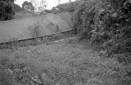 b. Streetscape, 23 Duncan Terrace, Kilbirnie