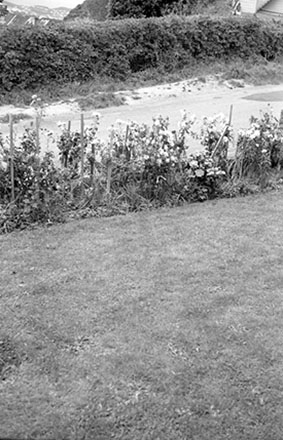 c. Streetscape, 23 Duncan Terrace, Kilbirnie