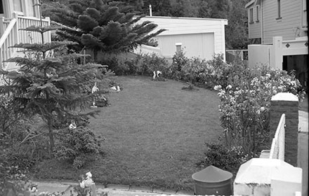 f. Streetscape, 23 Duncan Terrace, Kilbirnie