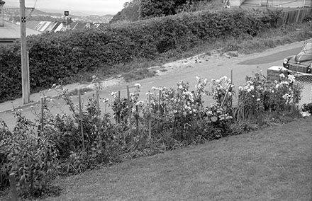 g. Streetscape, 23 Duncan Terrace, Kilbirnie