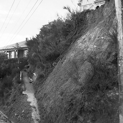 e. A slip has blocked the pedestrian access to 59 Fairlie Terrace