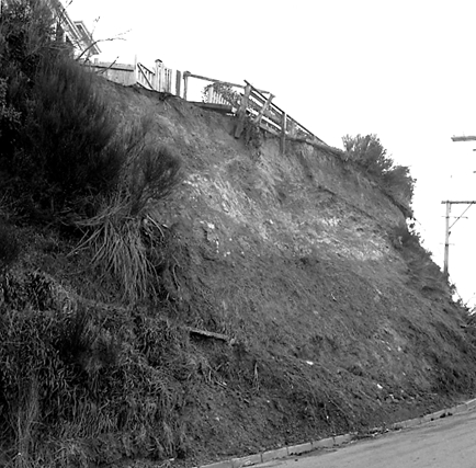 f. A slip has blocked the pedestrian access to 59 Fairlie Terrace