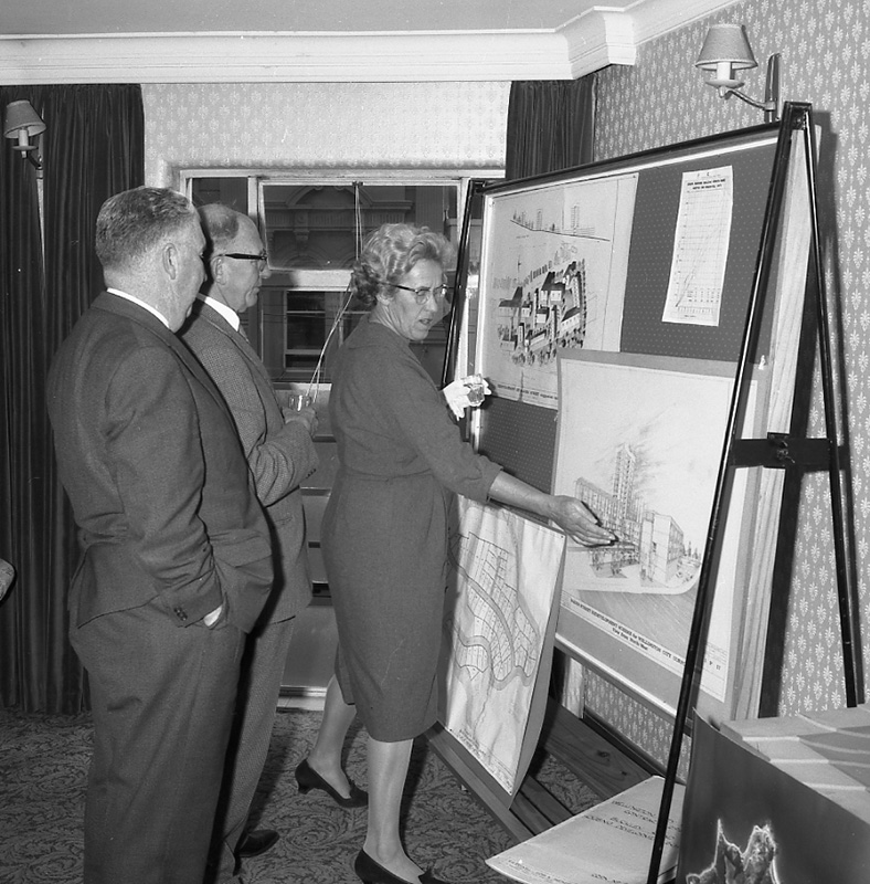 a. Town Plan Reception