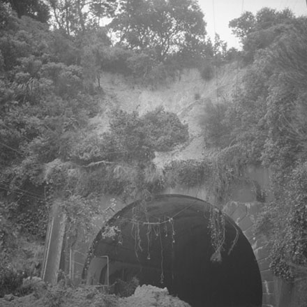 e. Seatoun Tunnel