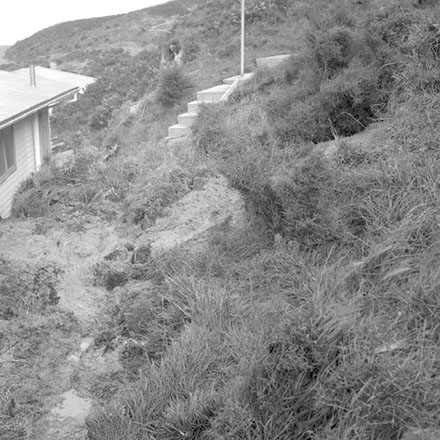 a. 79 Miramar North Road