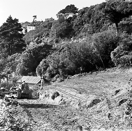 b. views of access, bush covered gully