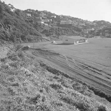 a. MacAlister Park, Liardet Street, Berhampore