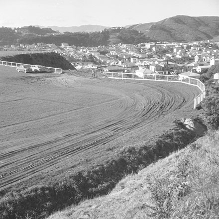 b. MacAlister Park, Liardet Street, Berhampore