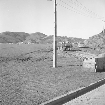c. MacAlister Park, Liardet Street, Berhampore