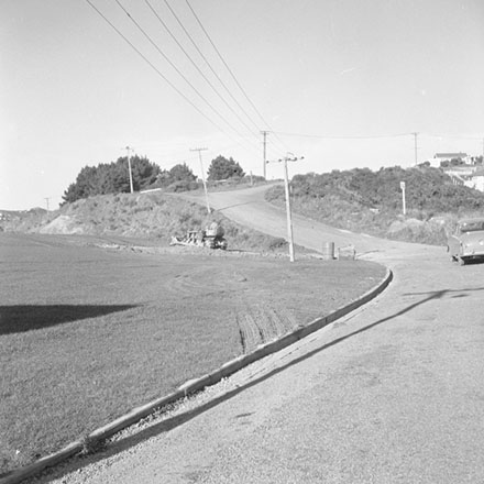 d. MacAlister Park, Liardet Street, Berhampore