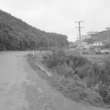 a. Streetscape, Newlands Road, Newlands