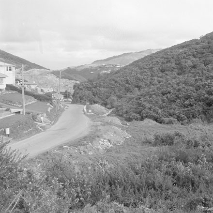 b. Streetscape, Newlands Road, Newlands