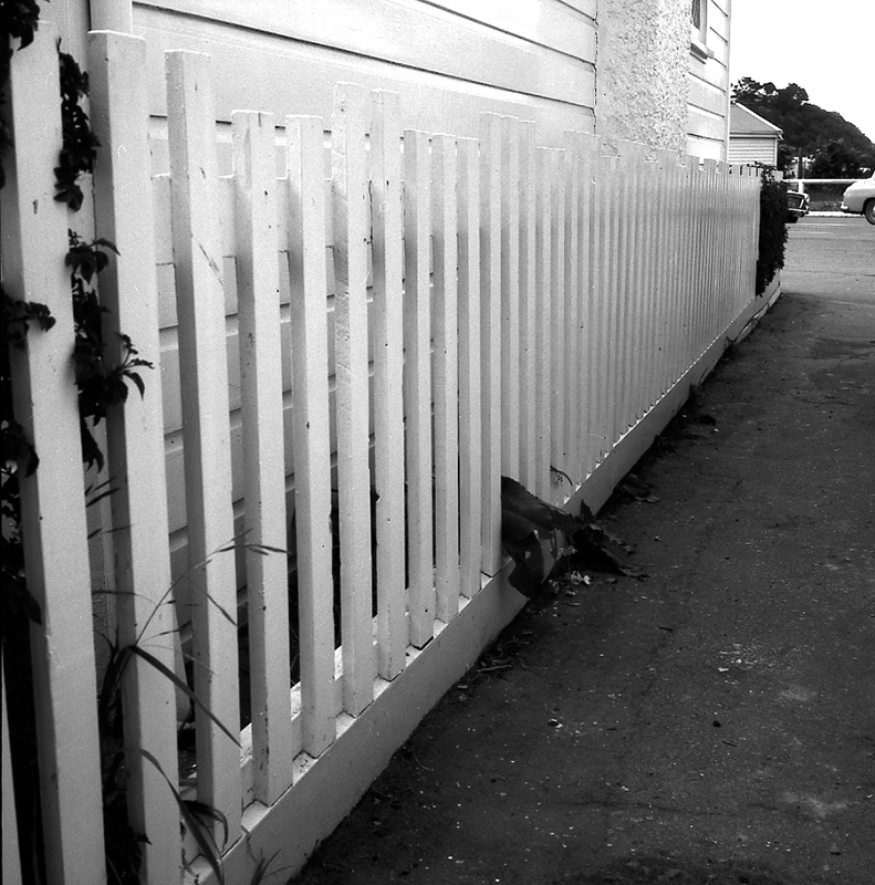 c. Job 9134 Tully St