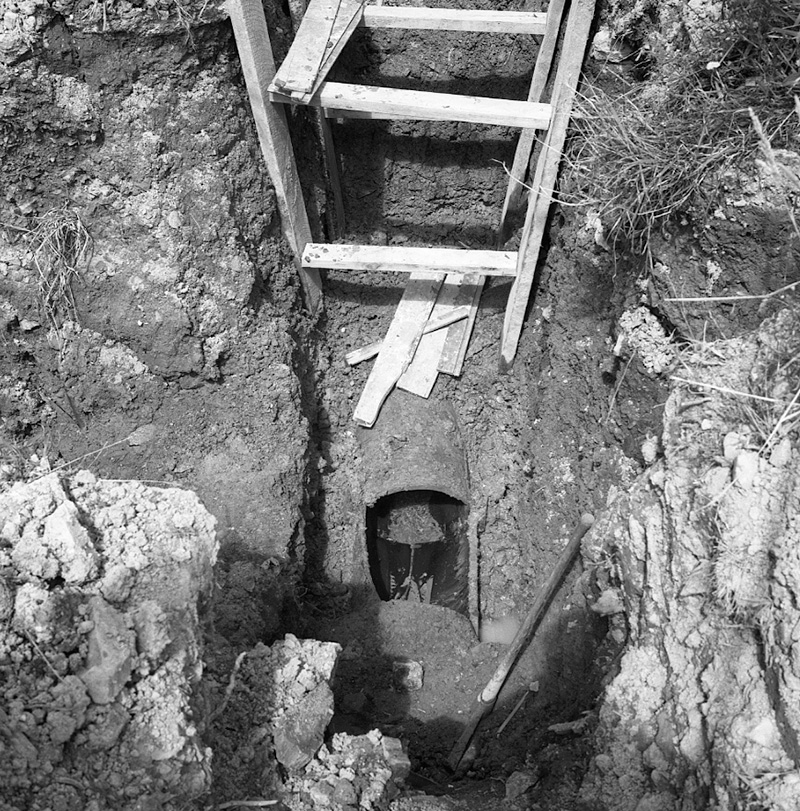 b. No 28 Todman Street