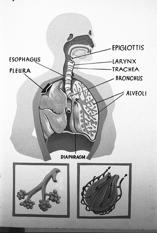 a. Civil Defence, Copies Instruction Signs