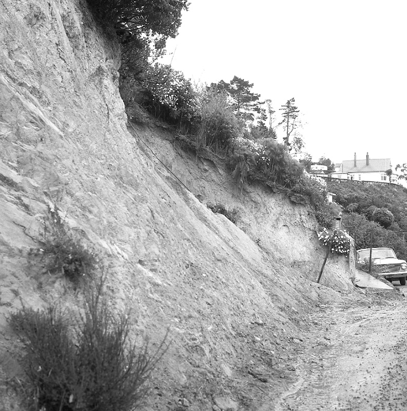 a. No 43 Newport terrace