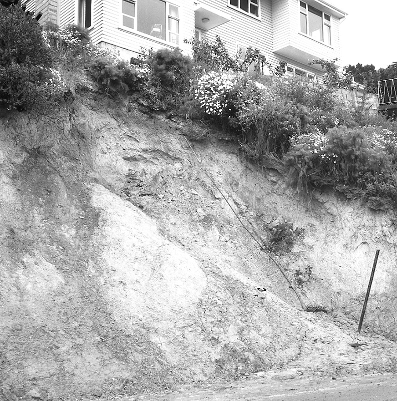 b. No 43 Newport terrace