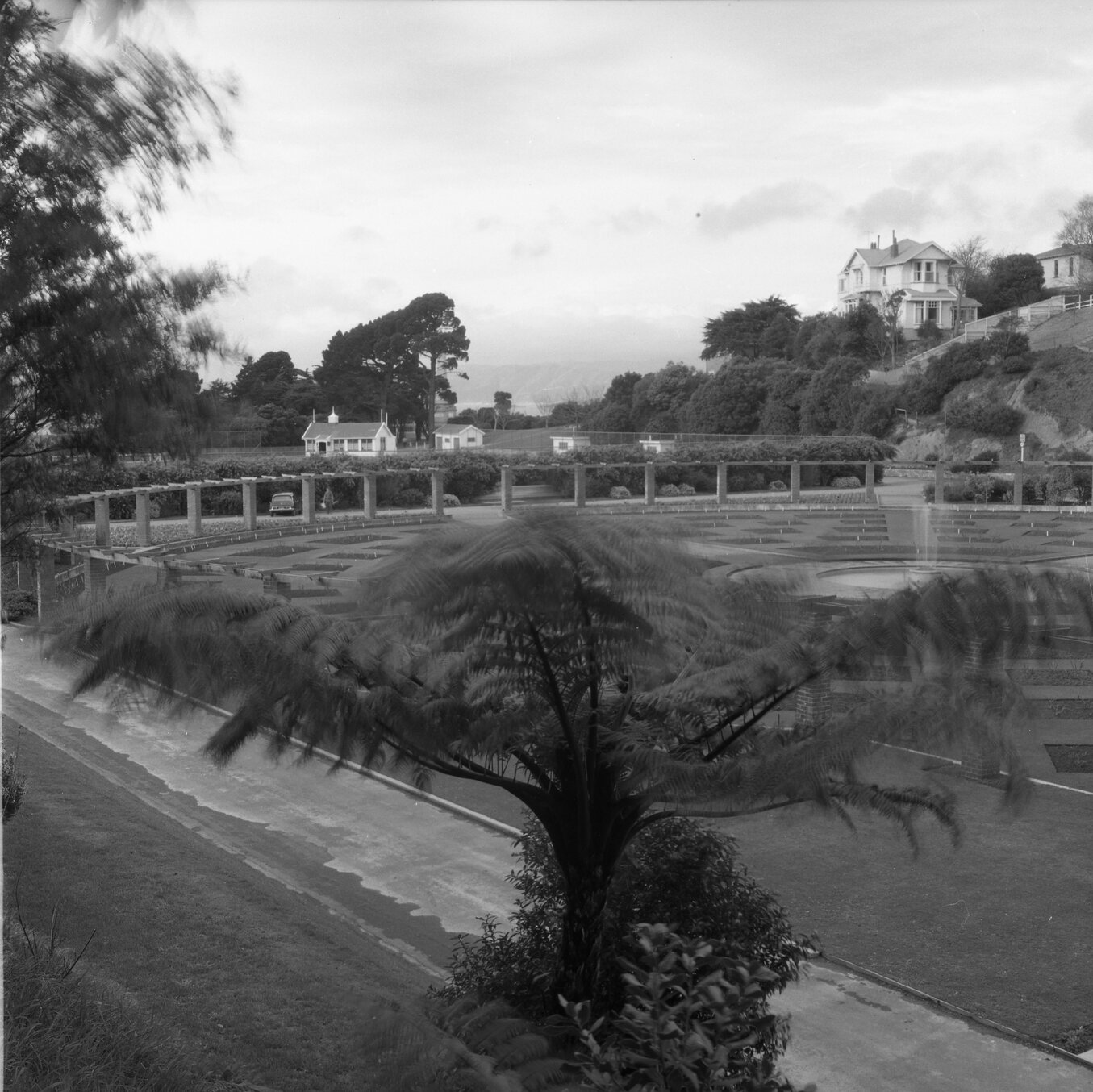 b. Rose garden, Botanic Garden