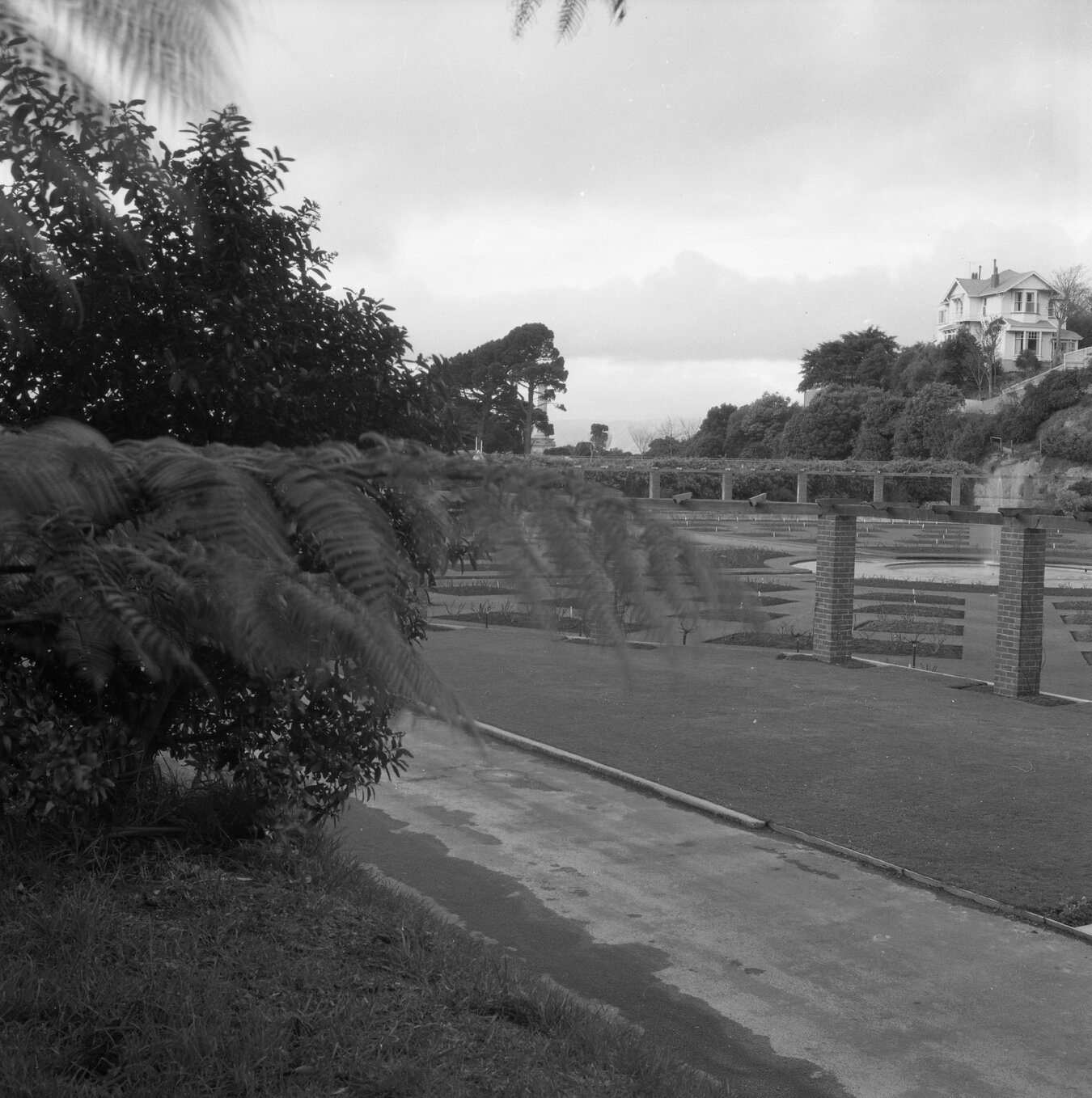 d. Rose garden, Botanic Garden