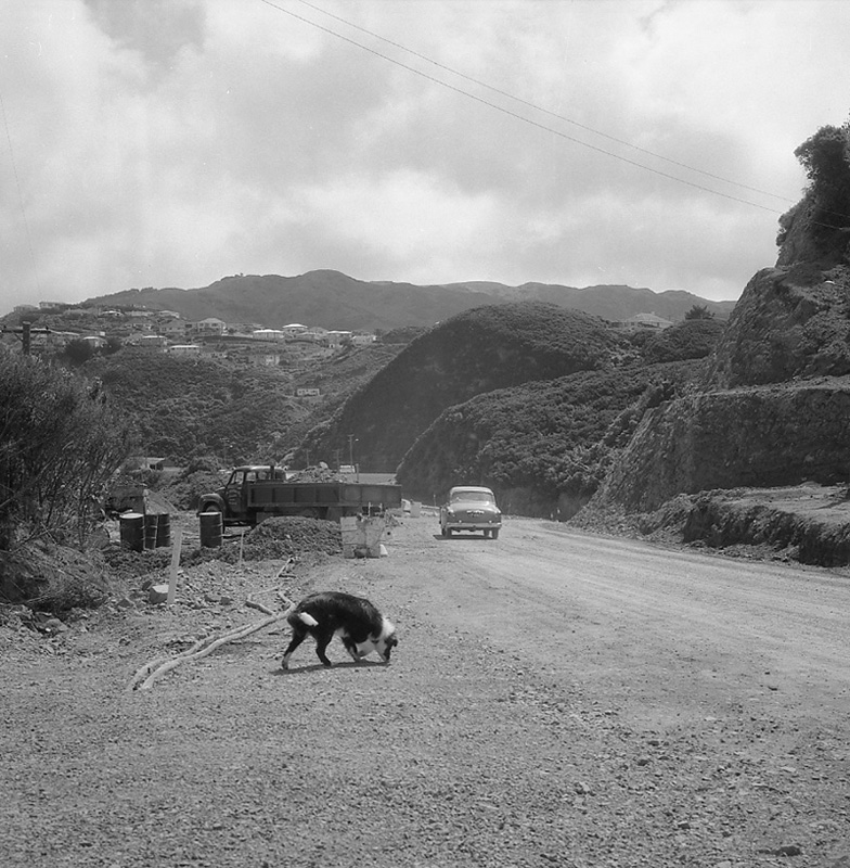 a. Newlands Road