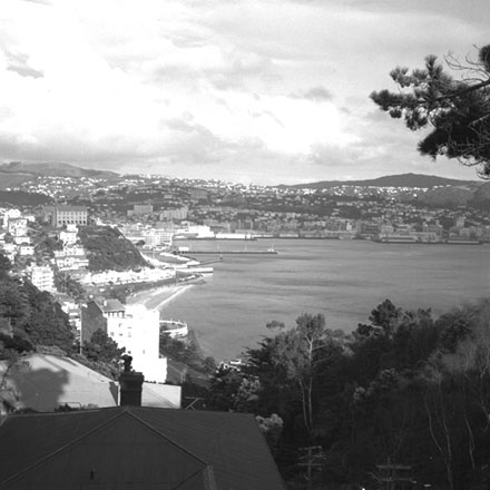 b. View of Oriental Bay and city from Roseneath