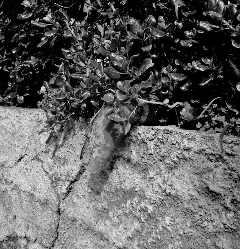 d. No 18 Lindum Terrace