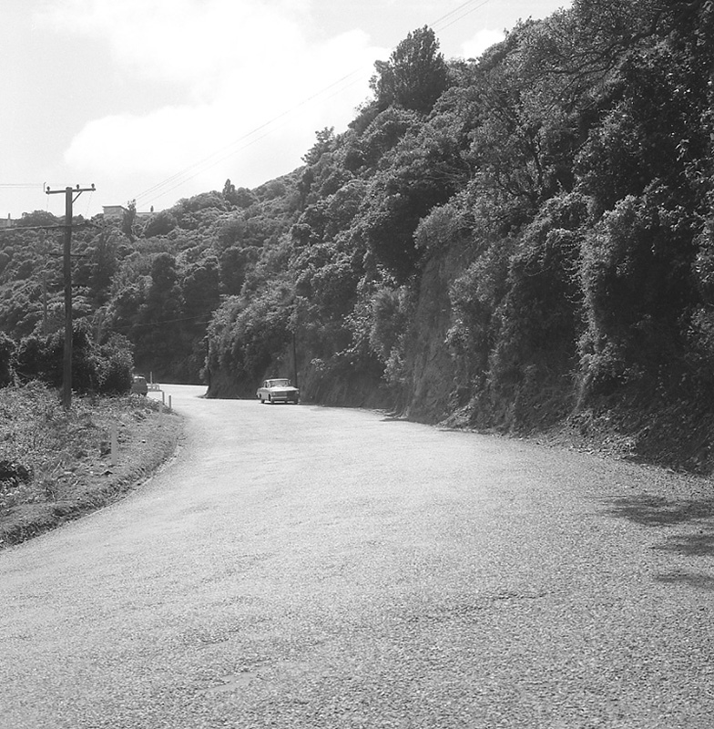 a. Traffic prosecution, Ngaio Gorge