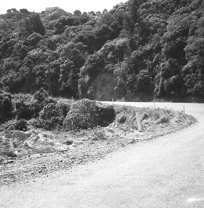 c. Traffic prosecution, Ngaio Gorge