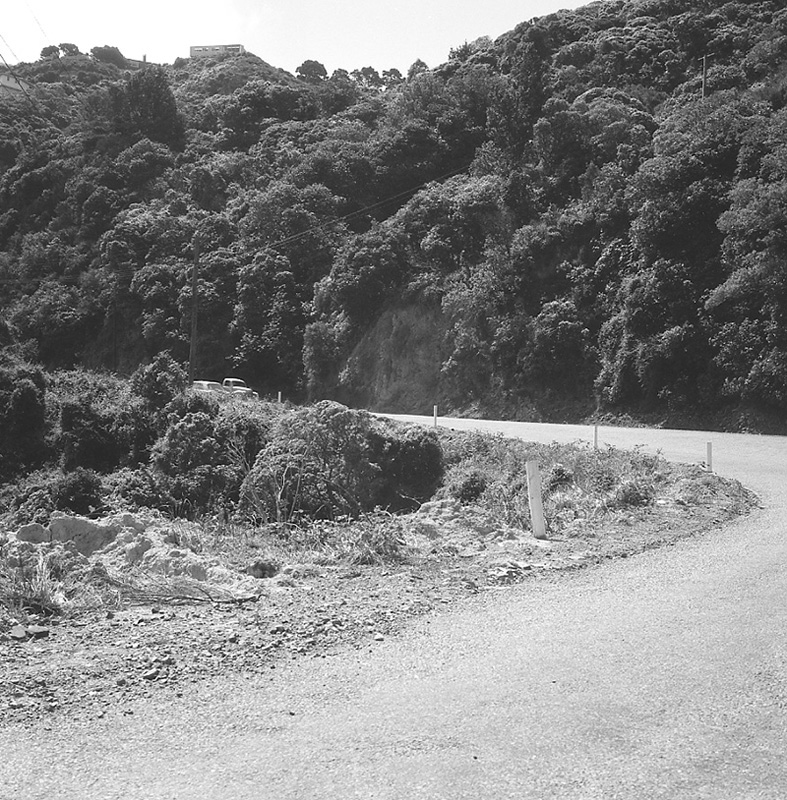 d. Traffic prosecution, Ngaio Gorge