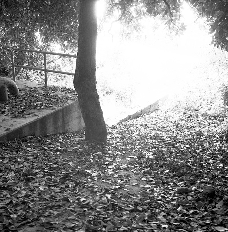 a. No 29 Pumping Station, Karaka Bay