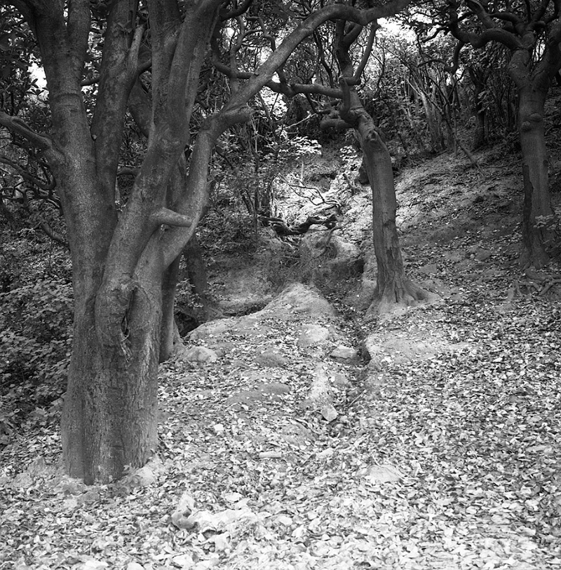b. No 29 Pumping Station, Karaka Bay
