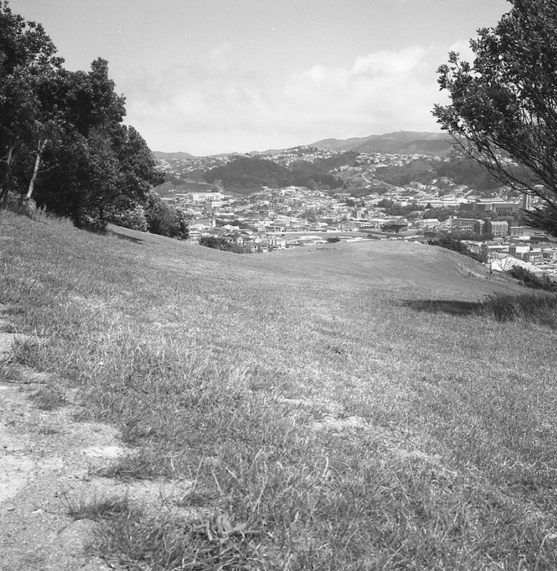 d. Mount Victoria Development scheme