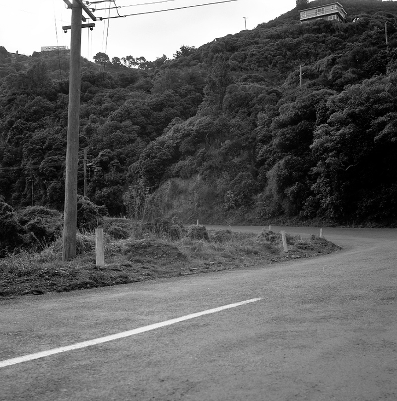 l. Fences, nos 58-78 Tinakori Rd