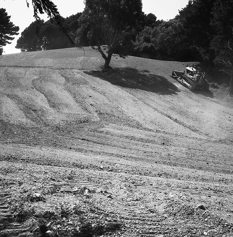 l. Mount Victoria Development scheme