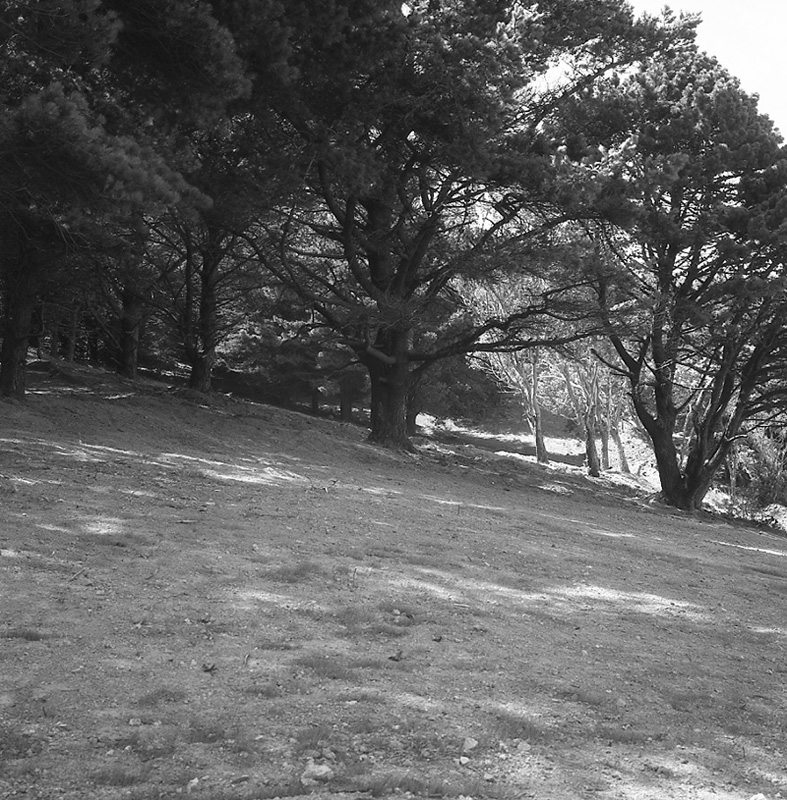 f. Mount Victoria Development scheme