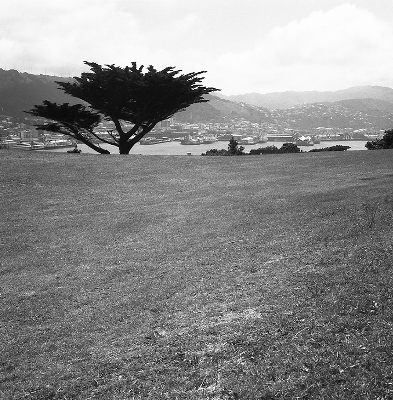 g. Mount Victoria Development scheme