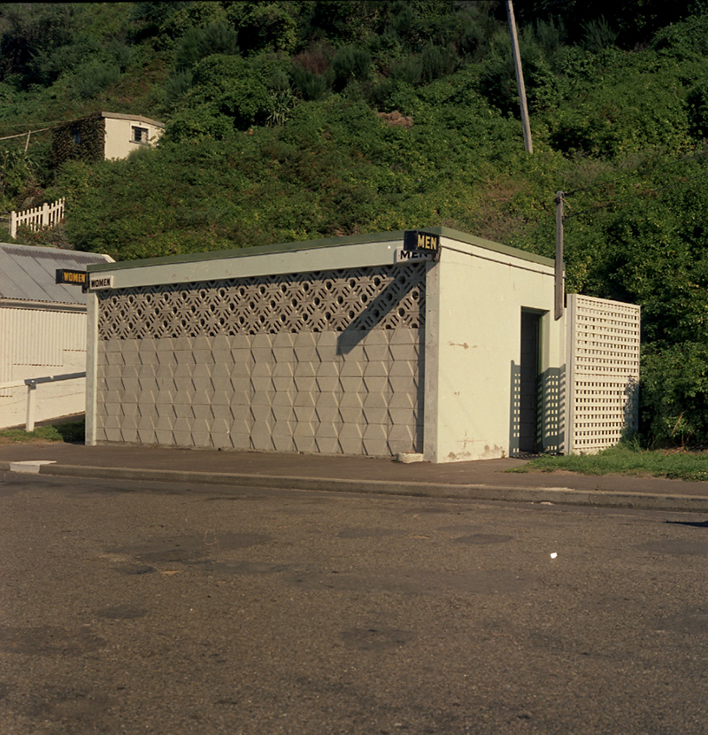 a. Tips and Spray Plant