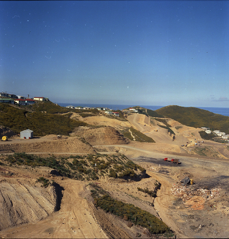 b. Tips and Spray Plant